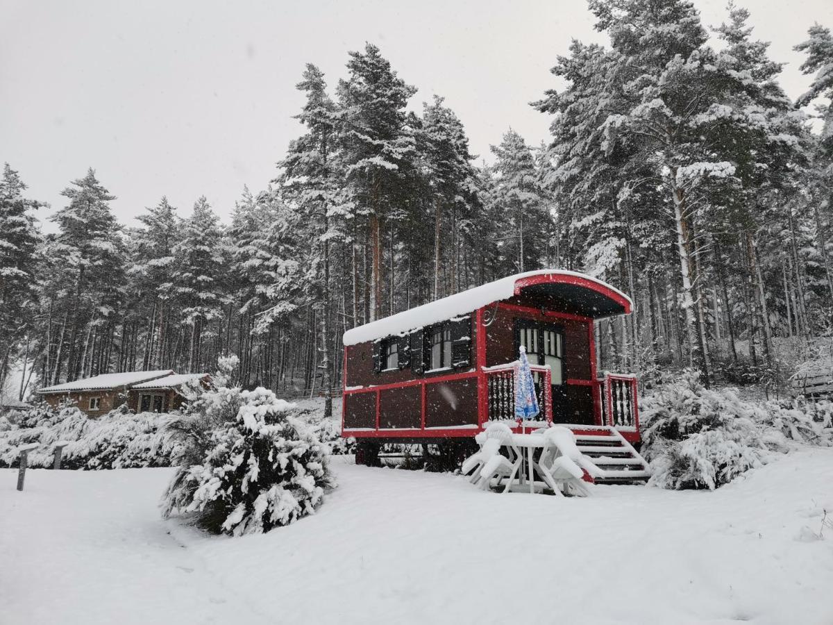 Les Chalets Du Haut-Forez Usson-en-Forez Екстер'єр фото