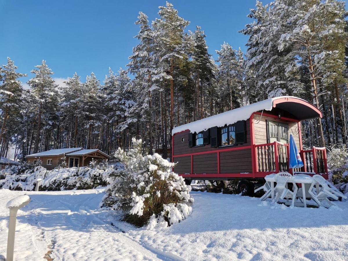 Les Chalets Du Haut-Forez Usson-en-Forez Екстер'єр фото