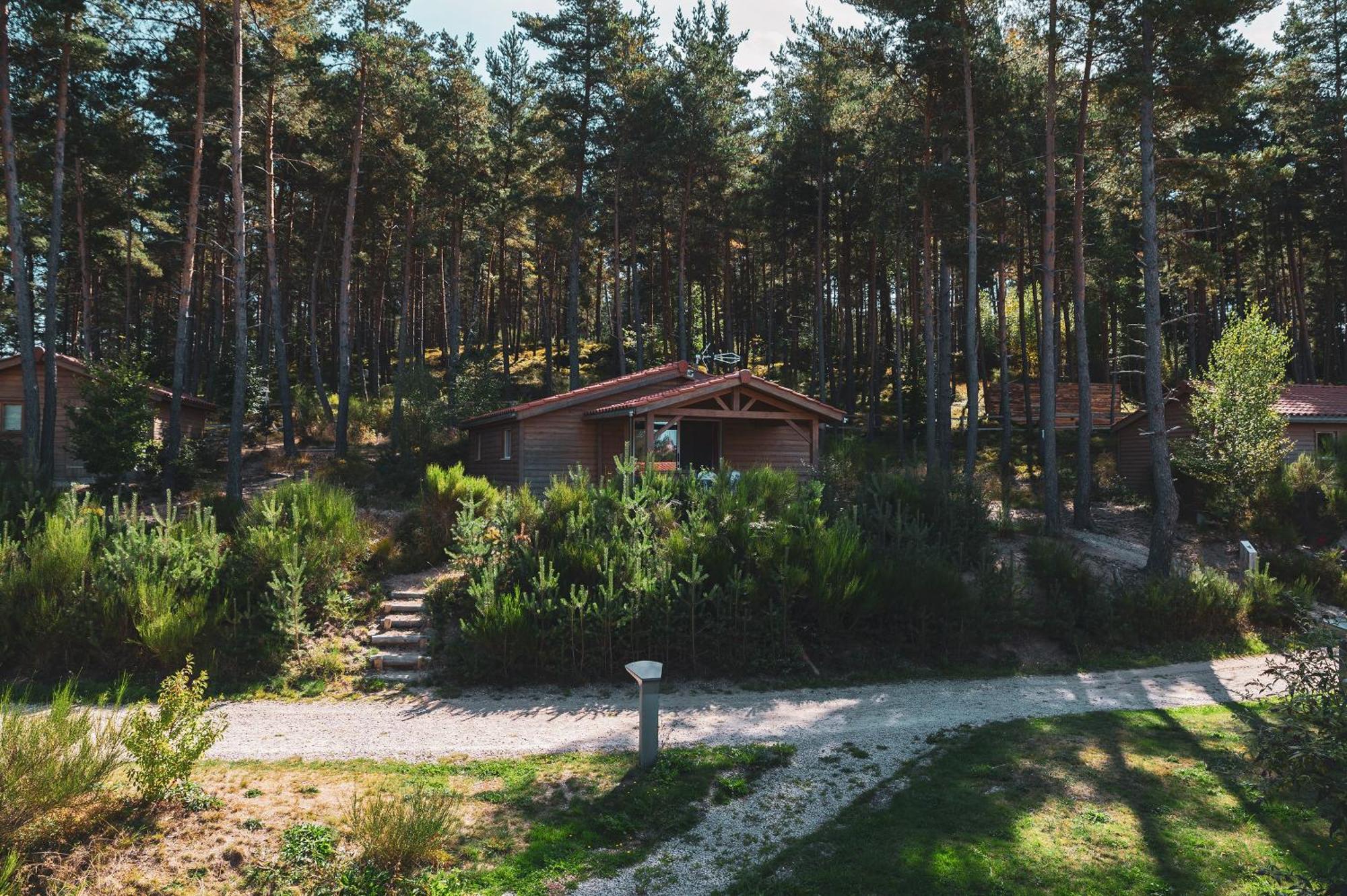 Les Chalets Du Haut-Forez Usson-en-Forez Екстер'єр фото
